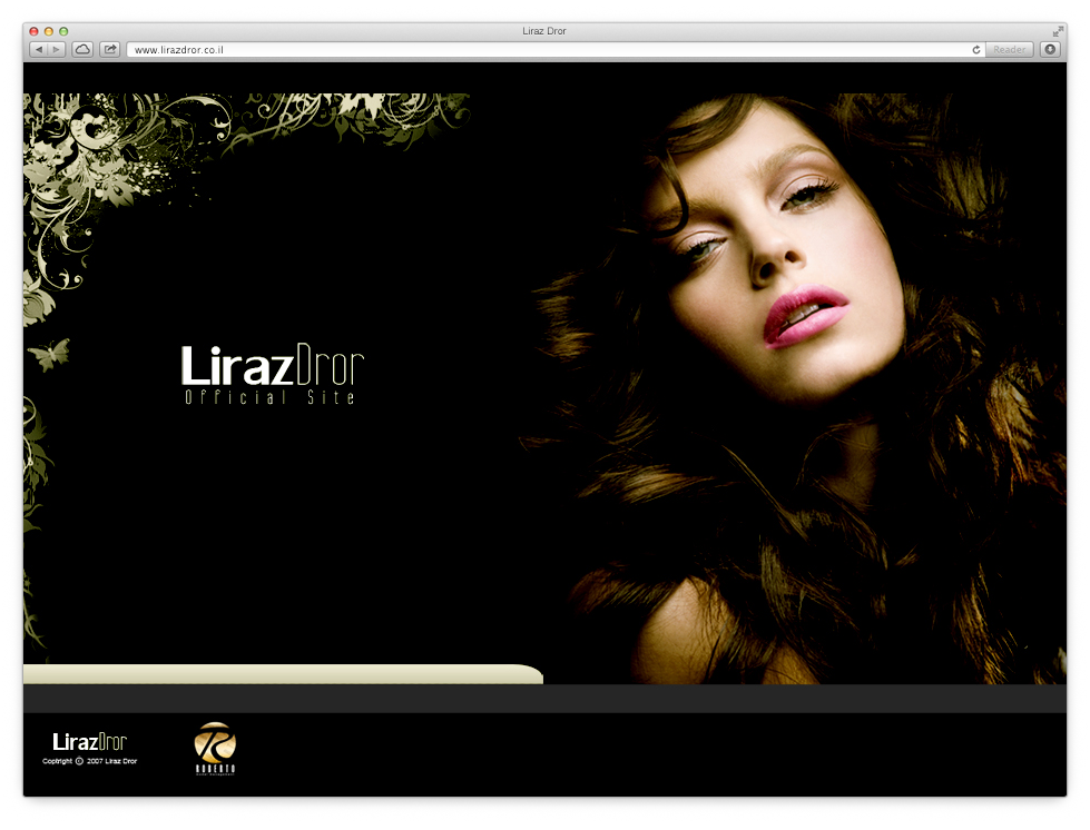 Building a Web Site for the Model, Liraz Dror